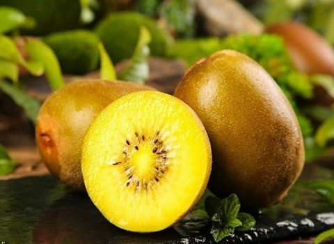 تصویر 3 از قیمت کیوی هایوارد طلایی + خرید باور نکردنی